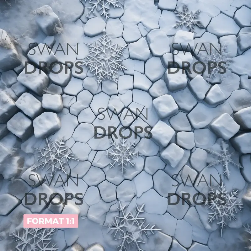 Ballet des Flocons